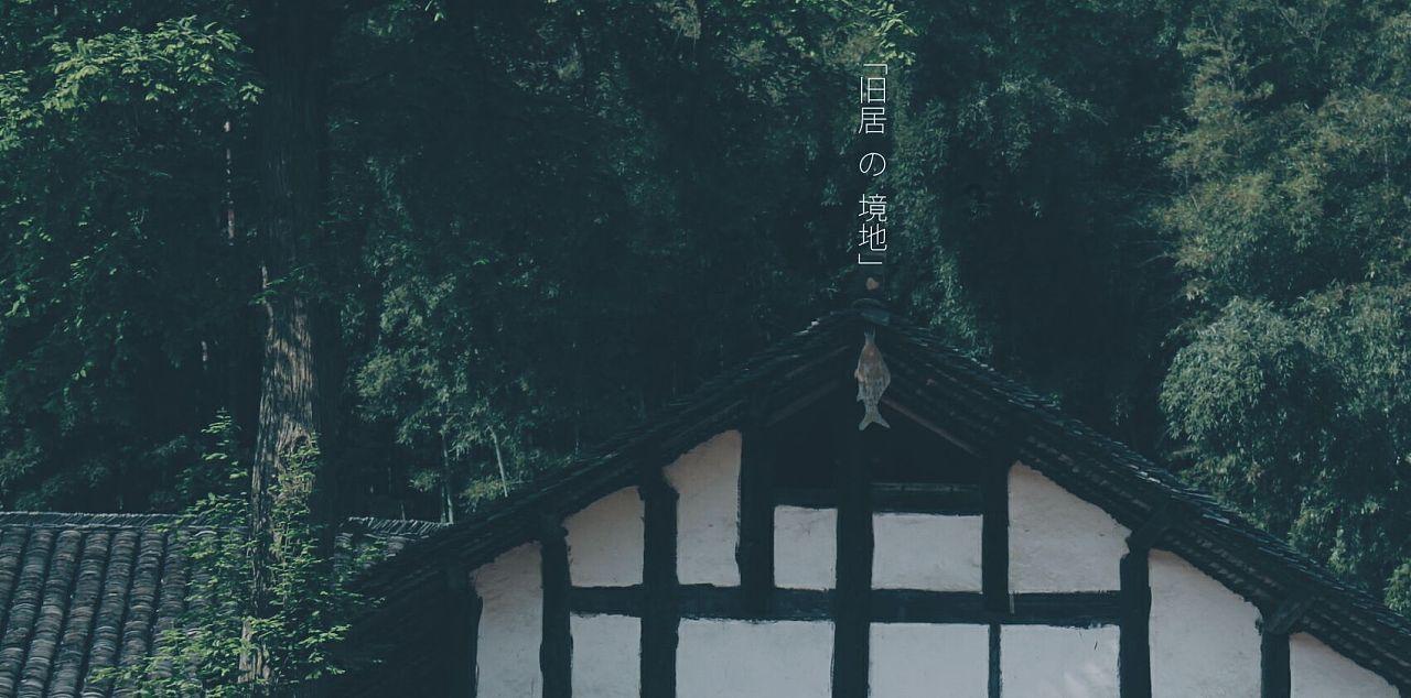 中卫市科协：协同发力融合创新，共同奏响基层科普“三部曲”
