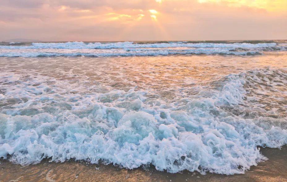 鸭鹅浆膜炎怎么治？